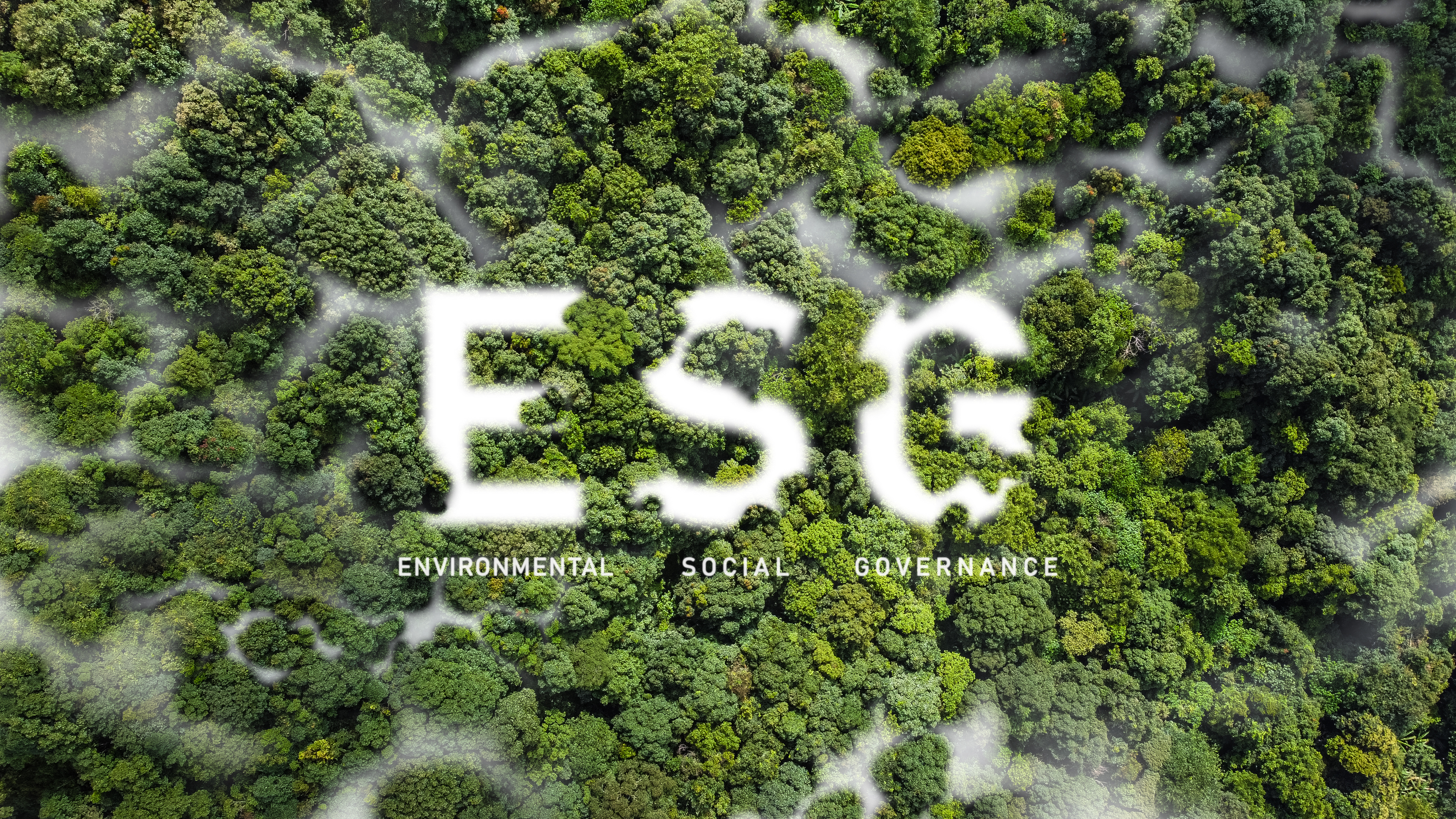 話題の「ESG・SDGs」とは?社会貢献とどう関係がある?